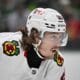 Chicago Blackhawks, Tyler Bertuzzi,